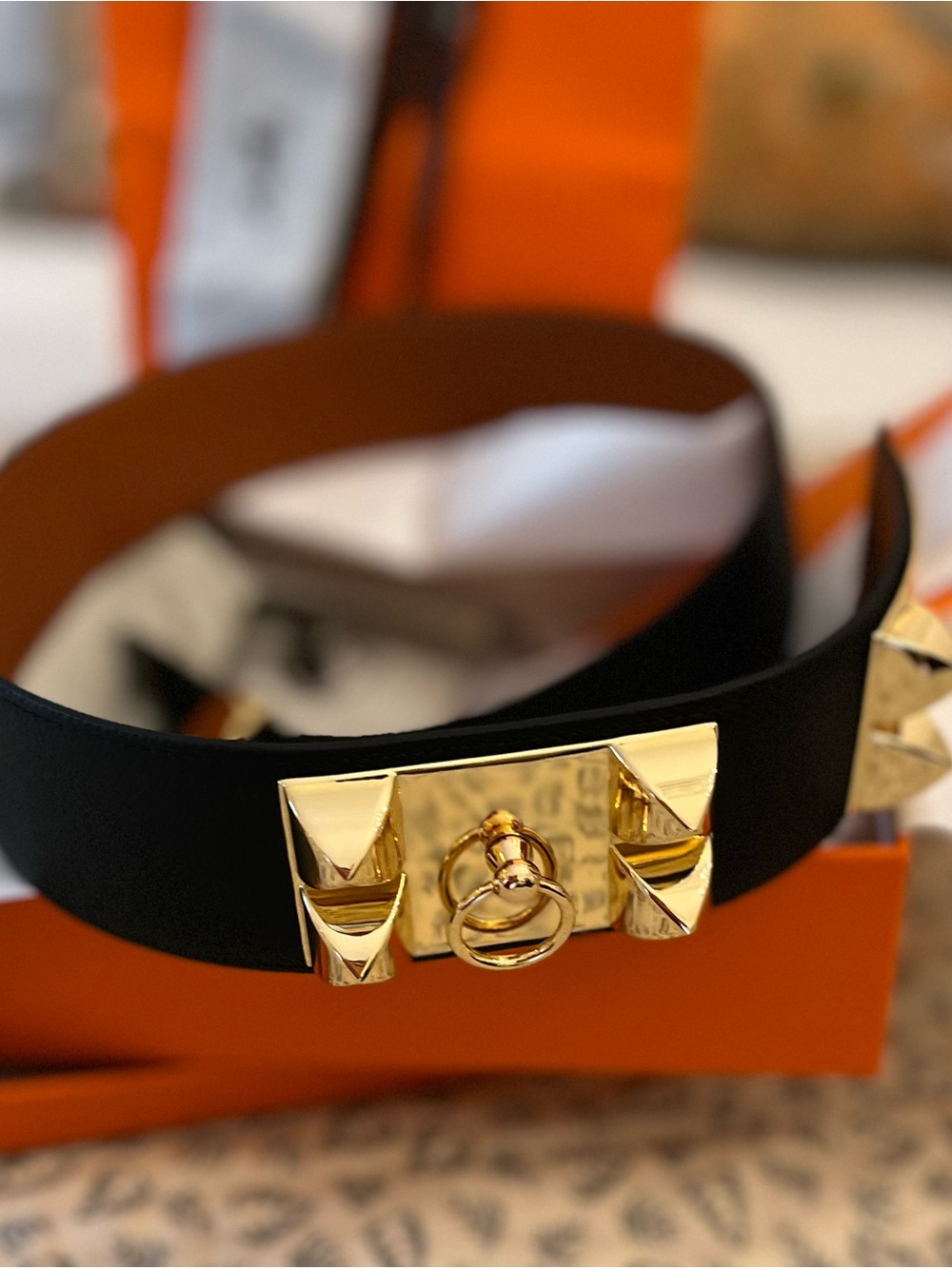 Black Leather Collier de Chien Belt with Gold Stud Hardware - Picture 11 of 11